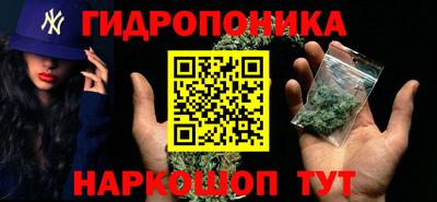 дмт Тара