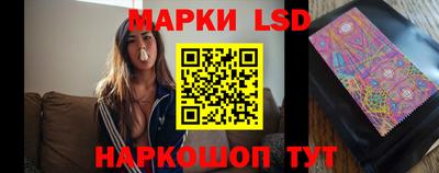 дмт Тара
